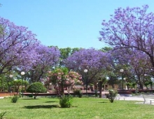 Plaza San Roque, verano del 2009.-Villa de Soto.-